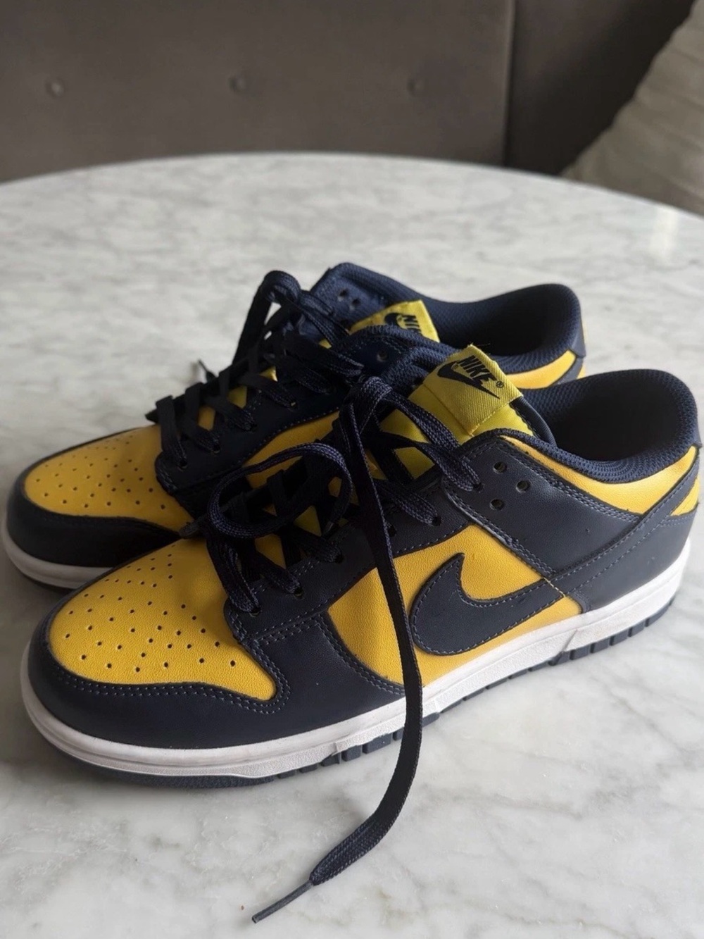 Nike Dunk Low Michigan 9.5